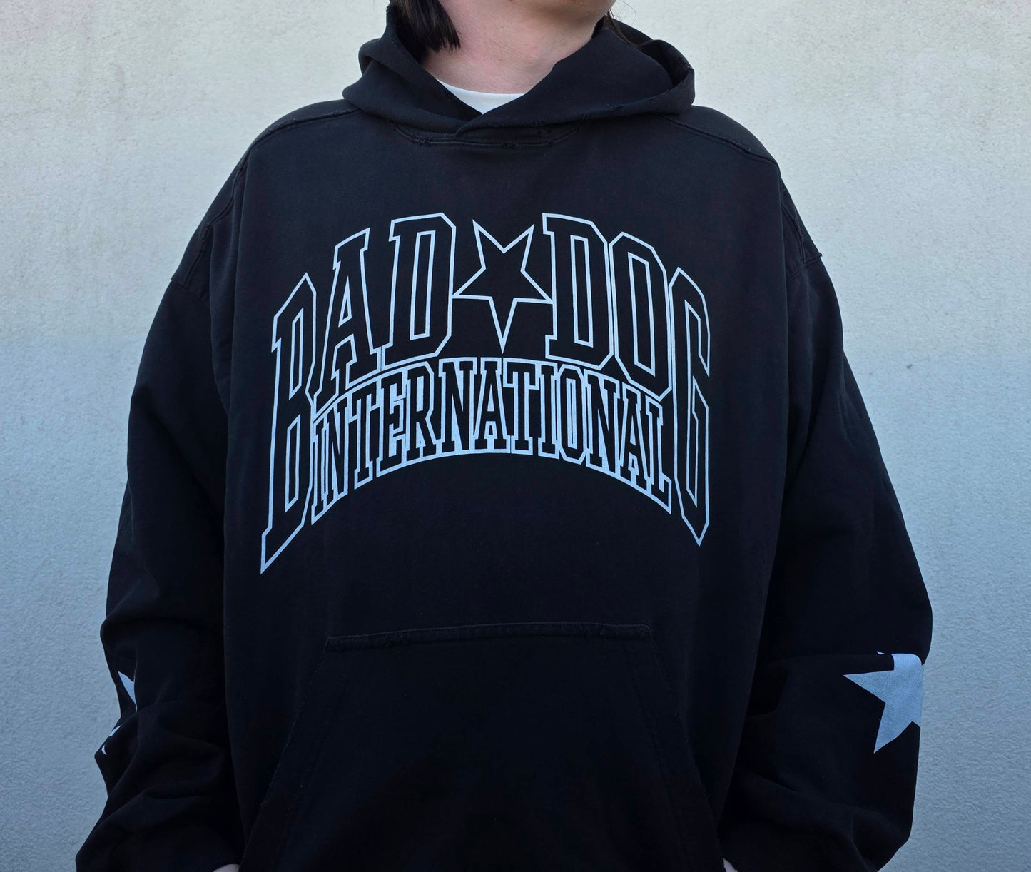Collegiate Hoodie
