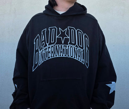 Collegiate Hoodie