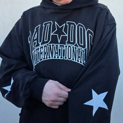 Collegiate Hoodie