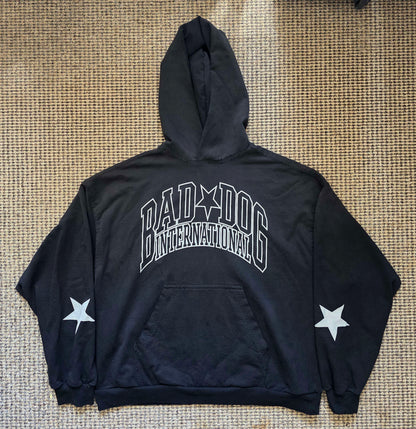 Collegiate Hoodie
