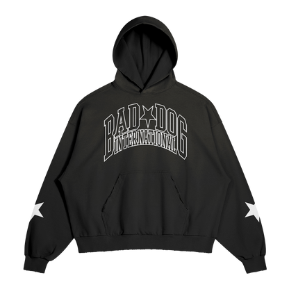 Collegiate Hoodie